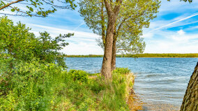 jezioro Dobskie - zdjęcie 6