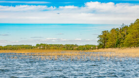 jezioro Dobskie - zdjęcie 5