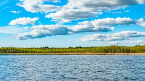 jezioro Dobskie - zdjęcie 3