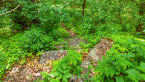 Wyspa Gilma - zdjęcie 10