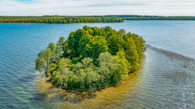 Wyspa Heleny - zdjęcie 8