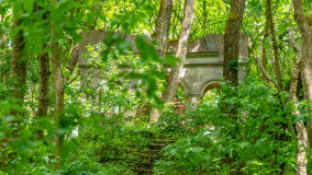 Wyspa Gilma - zdjęcie 9