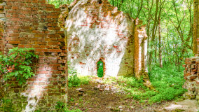 Wyspa Gilma - zdjęcie 8