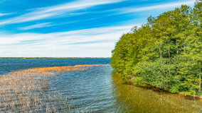 Wyspa Heleny - zdjęcie 6