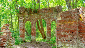 Wyspa Gilma - zdjęcie 7