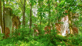 Wyspa Gilma - zdjęcie 6