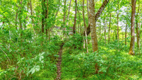 Wyspa Gilma - zdjęcie 5