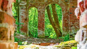 Wyspa Gilma - zdjęcie 4