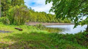 Wyspa Gilma - zdjęcie 3