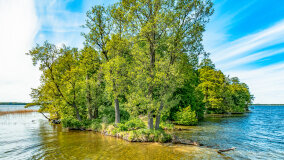 Wyspa Heleny - zdjęcie 3