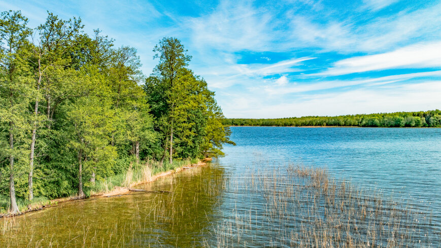 Wyspa Heleny - zdjęcie 1
