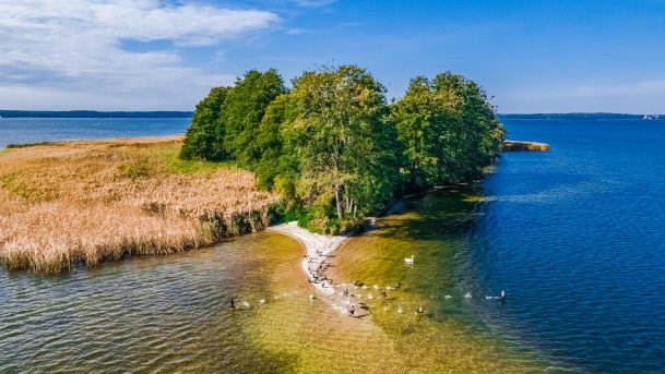 Grajewska Kępa - Wyspa Miłości - zdjęcie 9