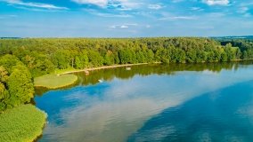 Sun Bila Pieczarki - zdjęcie 4