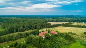 Sun Bila Pieczarki - zdjęcie 2