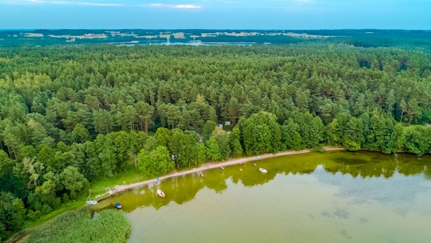 Sun Bila Pieczarki - zdjęcie 1