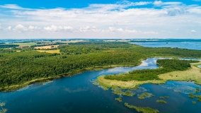 jezioro Kirsajty - zdjęcie 40