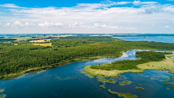 Wyspa Sidorkowa - zdjęcie 2
