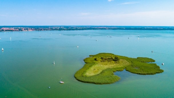 Wyspa Ptasia - zdjęcie 2