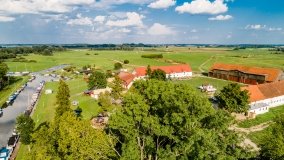 Zielony Lasek - zdjęcie 24