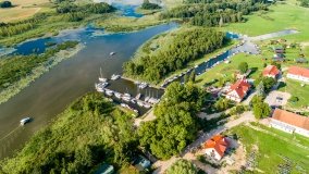 Zielony Lasek - zdjęcie 22