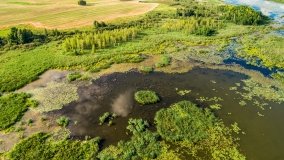 jezioro Kotek Wielki - zdjęcie 21