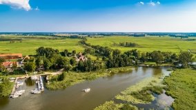 Zielony Lasek - zdjęcie 18