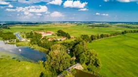 Zielony Lasek - zdjęcie 17