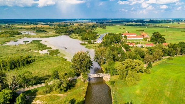 Zielony Lasek - zdjęcie 13