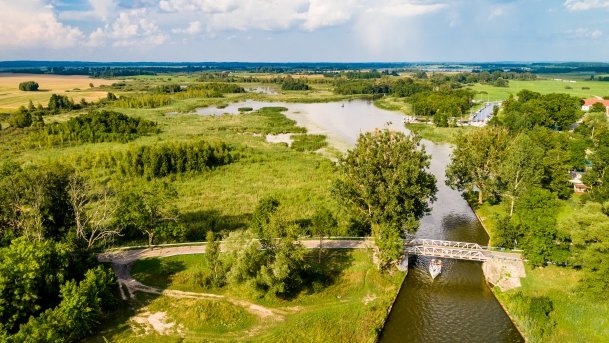 Kotek Wielki - zdjęcie 9