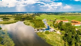 Zielony Lasek - zdjęcie 9