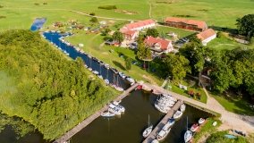 Zielony Lasek - zdjęcie 7