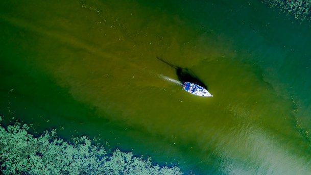 Kotek Wielki - zdjęcie 6