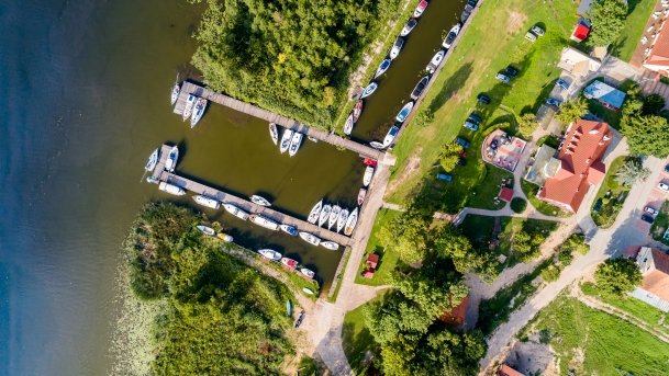 Kotek Wielki - zdjęcie 5