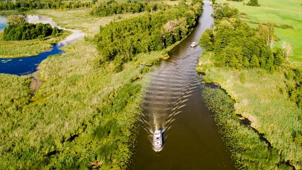Kotek Wielki - zdjęcie 4