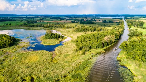 Kotek Wielki - zdjęcie 3