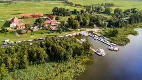 Zielony Lasek - zdjęcie 4