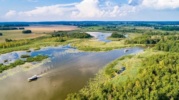 Kotek Wielki - zdjęcie 1