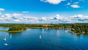 Wierzba - zdjęcie 19