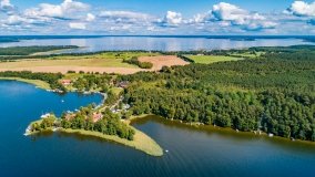 Wierzba - zdjęcie 18