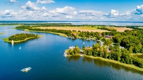 Wierzba - zdjęcie 16