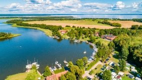 Wierzba - zdjęcie 12