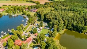 Wierzba - zdjęcie 10