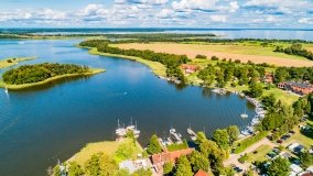 Wierzba - zdjęcie 9