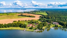 Wierzba - zdjęcie 5