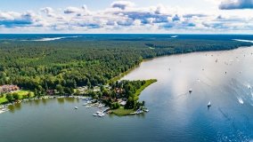 Wierzba - zdjęcie 4