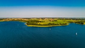 Trygort - zdjęcie 3